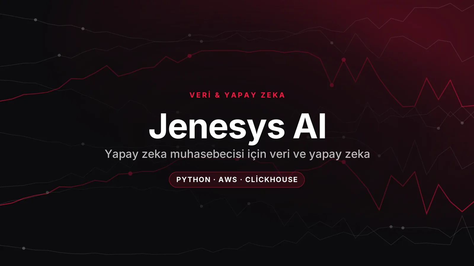 Jenesys AI – Yapay Zeka Muhasebecisi için Veri ve Yapay Zeka Mühendisliği